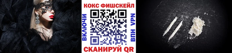 COCAIN Fish Scale  Купить закладки  Лобня 